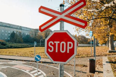 Stop red sign on autumn city background. Traffic signal. High quality photo