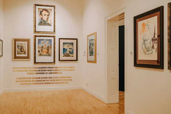 Salvador Dali Ausstellung Der Prager Zentralgalerie Berühmte Installation Künstler Legende — Stockfoto