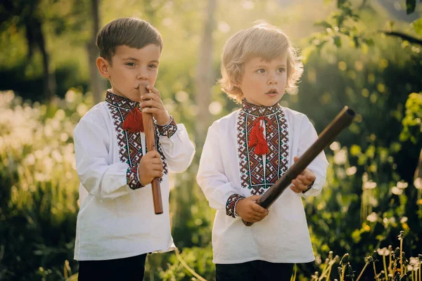 Los Hermanos Pequeños Los Muchachos Que Juegan Flauta Madera Viento — Foto de Stock