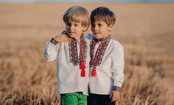 Szczęśliwy Zadowolony Chłopaczek Ukraiński Patriota Dziecko Ukraina Rodzina Bracia Bliźniacy — Zdjęcie stockowe