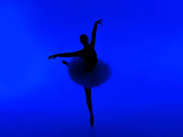 Beautiful silhouette of ballerina on blue background dancing ballet. Woman performs smooth movements. Sensual dancer in tutu dress on scene under neon light..