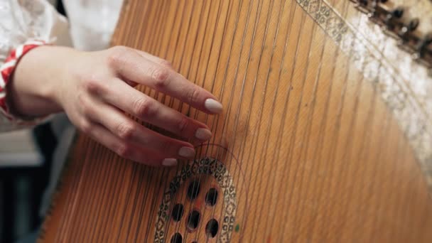 古い伝統的なウクライナの弦民族楽器バンデューラパンドラやコブザで遊ぶ女性 民俗音楽の概念 女性は優しく弦に触れる 高品質4K映像 — ストック動画