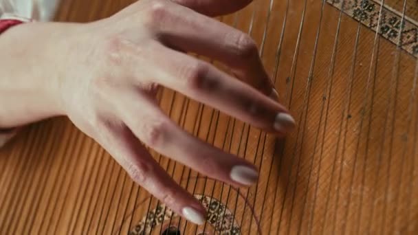Frau Die Auf Einem Traditionellen Ukrainischen Ethnischen Instrument Bandura Oder — Stockvideo