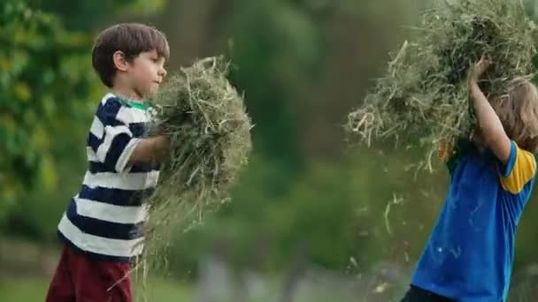 Małe Śmieszne Dzieci Bawiące Się Sianem Trawą Zwymiotują Szczęśliwego Dzieciństwa — Wideo stockowe