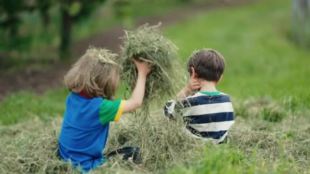 Små Roliga Barn Leker Med Gräs Kräks Upp Det Lycklig — Stockvideo