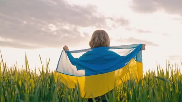 Boldog Kisfiú Ukrán Hazafi Gyermek Nemzeti Zászlóval Zöld Mezőn Nyílt — Stock videók