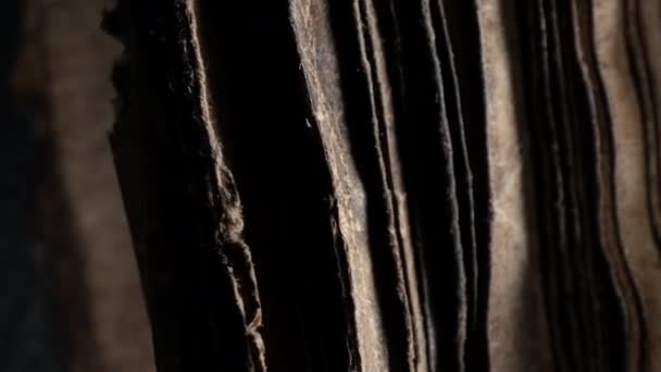 Слайдер Макро Вид Древнего Папируса Архивные Рукописи Средневековые Библиотечные Томы — стоковое видео