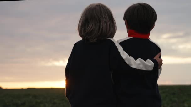 巨大な子供たちは日没を見て 牧草地の自然背景に地平線を見てください 一緒に幸せな子供たち 夢の息子 — ストック動画
