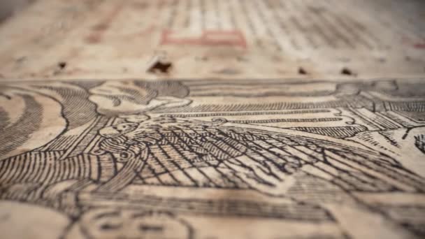 Eski Sarı Antika Kitap Makro Görüntüsü Geçmişin Hazineleri Nadir Bulunan — Stok video