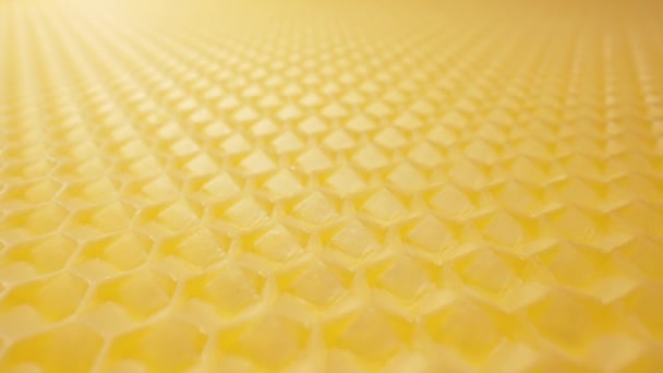 Extreme Makro Schieberegler Bewegt Wachszellen Oberfläche Textur Der Honigwabe Biologische — Stockvideo