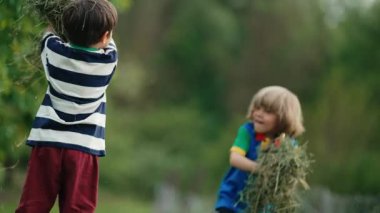 Küçük komik çocuklar samanla, otla oynuyorlar, kusuyorlar. Mutlu bir çocukluk. Gülümseyen çocuklar çimenleri biçtikten sonra eğleniyorlar.. 