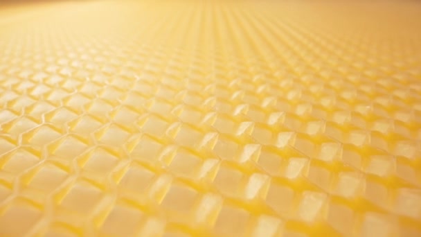 Extreme Macro Schuifregelaar Beweegt Wax Cellen Oppervlak Textuur Van Honingraat — Stockvideo