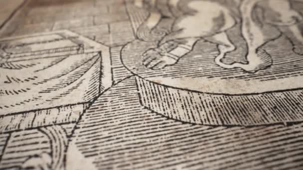 Altes Vergilbtes Antikes Buch Mittelalterliches Königsbild Seltene Zeitlose Literatur Schätze — Stockvideo