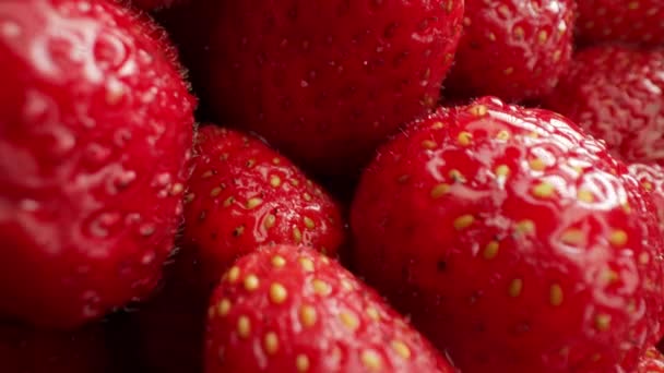 Fondo Fresas Maduras Rojas Orgánicas Bayas Jugosas Naturales Textura Macro — Vídeos de Stock