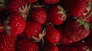 Organik kırmızı olgun çilek arka planı. Doğal sulu böğürtlen, makro doku. Lezzetli vejetaryen tatlı, vitaminler, beslenme, sağlıklı yeme konsepti. 4K yüksek kalite.