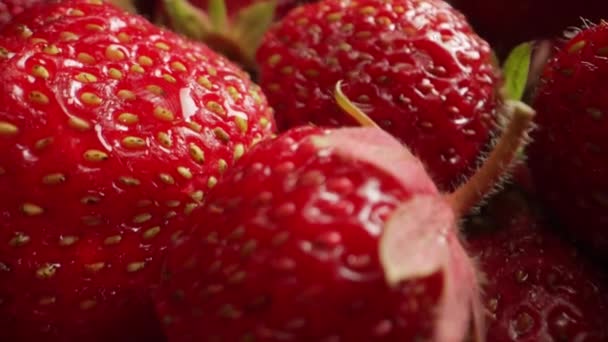Rote Reife Erdbeere Hintergrund Natürliche Saftige Beeren Makroweite Aufnahmen Leckeres — Stockvideo