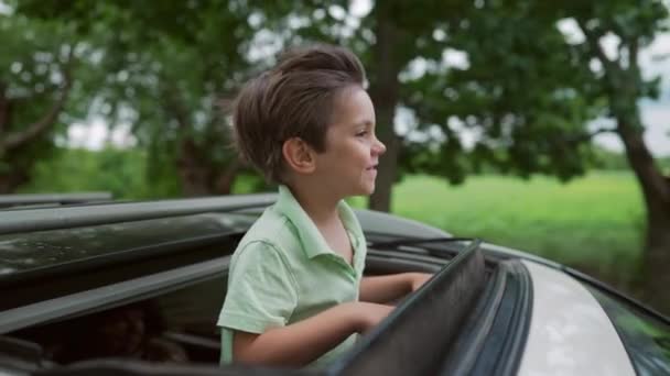 Adorável Menino Feliz Fica Teto Abrir Carro Durante Viagem Estrada — Vídeo de Stock