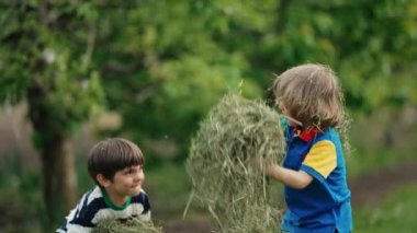 Küçük komik çocuklar samanla, otla oynuyorlar, kusuyorlar. Mutlu bir çocukluk. Gülümseyen çocuklar çimenleri biçtikten sonra eğleniyorlar..