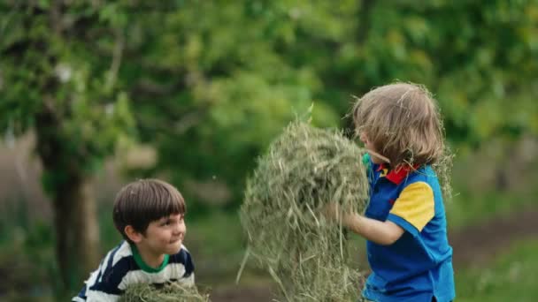 小孩子玩干草 扔了它 快乐的童年割草后在草坪上嬉笑的孩子 — 图库视频影像
