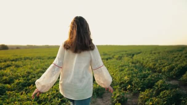 Счастливая Женщина Бегает Зеленому Полю Девушка Белой Вышивке Свобода Лето — стоковое видео