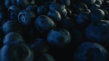 İnanılmaz taze olgun yaban mersinleri. Dev acai üzümleri. Organik yaban mersini bitkisinin uç makro kaydırak görüntüleri. Diyet, antioksidan, sağlıklı vegan yiyecekler. 4k görüntü