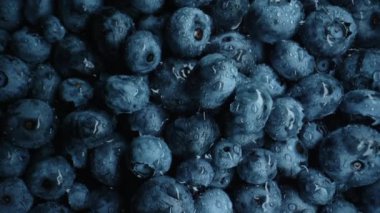 İnanılmaz taze olgun yaban mersinleri. Dev acai üzümleri. Organik yaban mersini bitkisinin uç makro kaydırak görüntüleri. Diyet, antioksidan, sağlıklı vegan yiyecekler. 4k görüntü