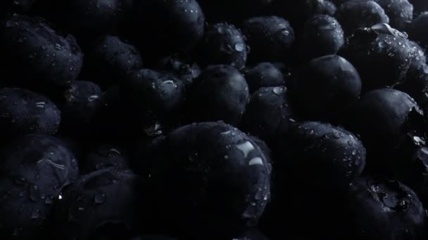 すばらしい新鮮な熟したビルベリー 巨大なアサイベリー 有機ブルーベリー工場の極端なマクロスライダー映像 ダイエット 抗酸化物質 健康的なビーガン食品 4K映像について — ストック動画