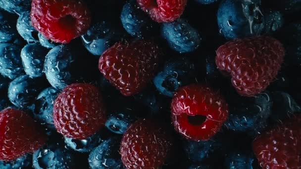 Frutas Coloridas Abstratas Controle Deslizante Macro Extrema Framboesas Silvestres Maduras — Vídeo de Stock