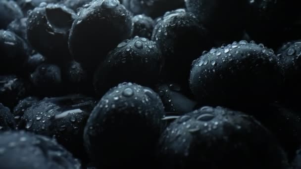Erstaunlich Frische Reife Heidelbeeren Gigantische Acai Beeren Extreme Makro Schieberegler — Stockvideo