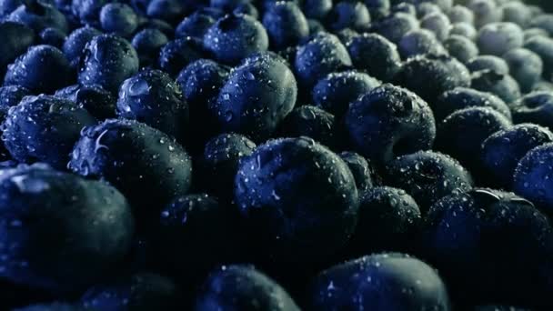 Fantastiska Färska Mogna Blåbär Gigantiska Acaibär Extrema Makrobilder Ekologisk Blåbärsväxt — Stockvideo