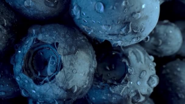 すばらしい新鮮な熟したビルベリー 巨大なアサイベリー 有機ブルーベリー工場の極端なマクロスライダー映像 ダイエット 抗酸化物質 健康的なビーガン食品 4K映像について — ストック動画