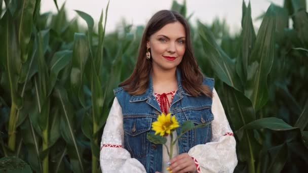 Mujer Hippy Atractiva Sonriente Con Girasol Fondo Naturaleza Maíz Verde — Vídeos de Stock