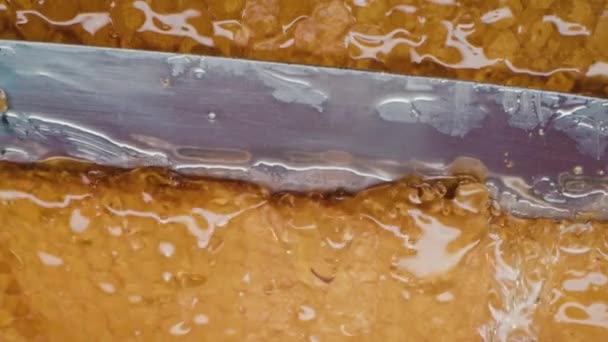 Beekeeper Manually Cutting Sealed Honeycomb Knife Frame Honey Production Apiary — Stock Video