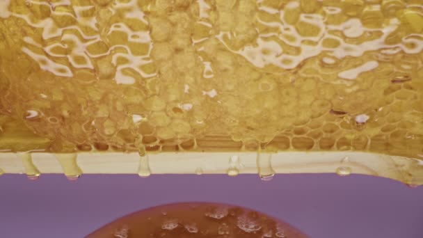 Peternak Lebah Secara Manual Memotong Sarang Lebah Tertutup Dengan Pisau — Stok Video
