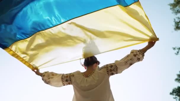 Mujer Ucraniana Feliz Con Bandera Nacional Fondo Del Cielo Verano — Vídeos de Stock