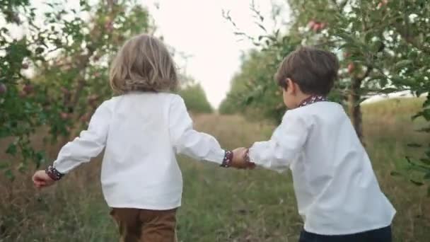 リトルウクライナの少年たちは リンゴの庭の芝生の道を元気よく走っている 伝統的な刺繍のバンカシャツで一緒に子供たち ウクライナ 民族衣装 愛国者 — ストック動画