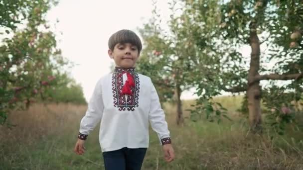 Маленький Український Хлопчик Гуляє Сам Яблучному Саду Дитина Традиційній Вишивці — стокове відео
