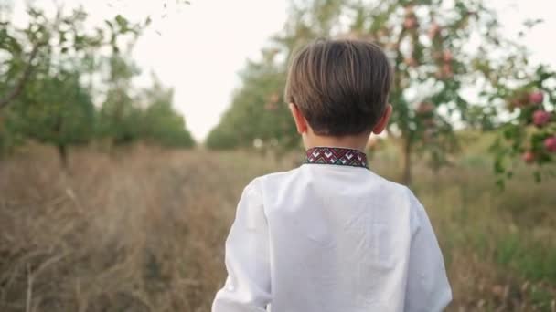 Kis Ukrán Fiú Egyedül Sétál Almakertben Gyermek Hagyományos Hímzéses Vyshyvanka — Stock videók