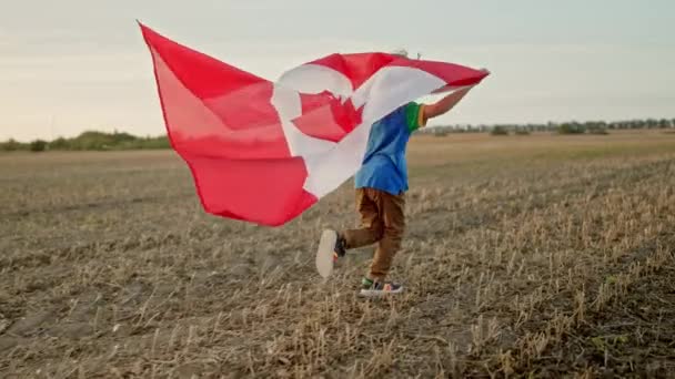 かわいい小さな少年 カナダの愛国心の子供が野外フィールドで国旗を掲げて走っています 7月1日 カナダの日 お祝い バナー メモリアル — ストック動画