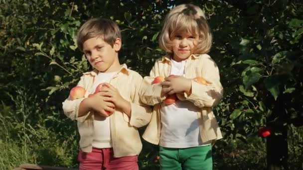 可爱的小孩在篮子里捡成熟的红苹果 园中的兄弟们在秋天探索植物 大自然 精彩的一幕双胞胎 童年概念 — 图库视频影像