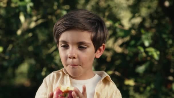 Милий Маленький Хлопчик Їсть Стигле Червоне Яблуко Прекрасному Саду Син — стокове відео