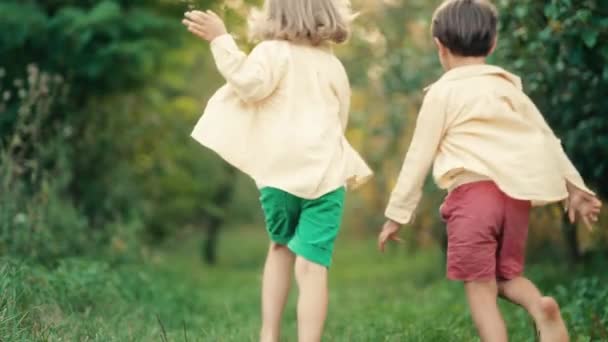 Mali Ukraińscy Chłopcy Radośnie Biegają Ścieżką Trawniku Ogrodowym Dzieci Bawiące — Wideo stockowe