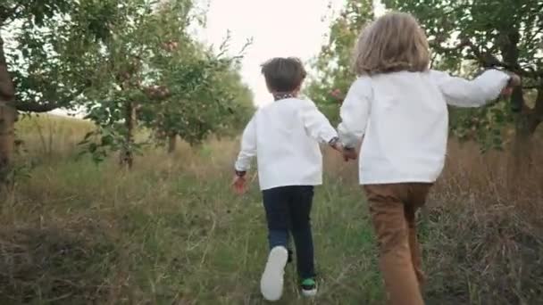 在苹果花园里的草坪上 一些乌克兰小男孩高兴地沿着小路跑着 孩子们穿着传统绣花Vyshyvanka衬衫在一起 乌克兰 民族服装 爱国者 — 图库视频影像