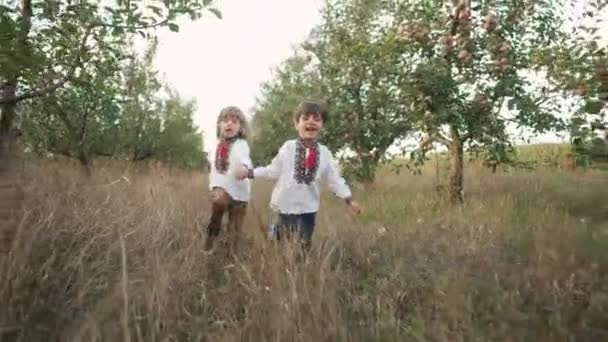 Mali Ukraińscy Chłopcy Radośnie Biegają Ścieżką Trawniku Ogrodzie Jabłkowym Dzieci — Wideo stockowe