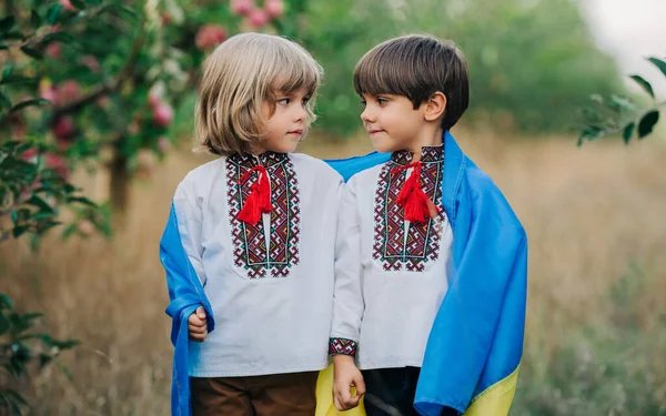 Handsome Happy Boys Ukrainian Patriots Years Old Children National Flag Royalty Free Stock Images
