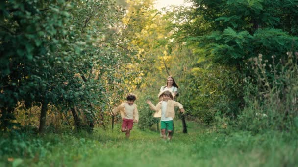 年轻的家庭妈妈和两个兄弟双胞胎男孩在绿地公园或花园散步 快乐的母亲和孩子 乡村的概念 — 图库视频影像