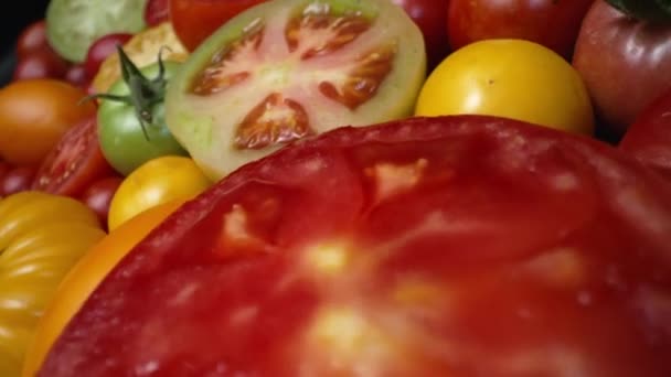 Extreme Macro Τομάτες Φόντο Ποικιλία Φρέσκα Τρόφιμα Ώριμη Συγκομιδή Βιολογικών — Αρχείο Βίντεο