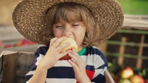 Słodki Chłopczyk Jedzący Dojrzałe Czerwone Jabłko Drewnianym Pudełku Sadzie Syn — Wideo stockowe
