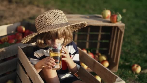 果樹園の木箱でリンゴジュースを飲んでいるかわいい幼児の少年 家庭菜園の息子は 秋の田舎の植物 自然を探検しています 素晴らしいシーン 子供時代の概念 — ストック動画