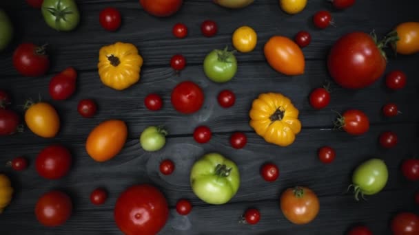 Topp Platta Låg Tomater Sorter Svart Träyta Ekologiska Grönsaker Skörd — Stockvideo